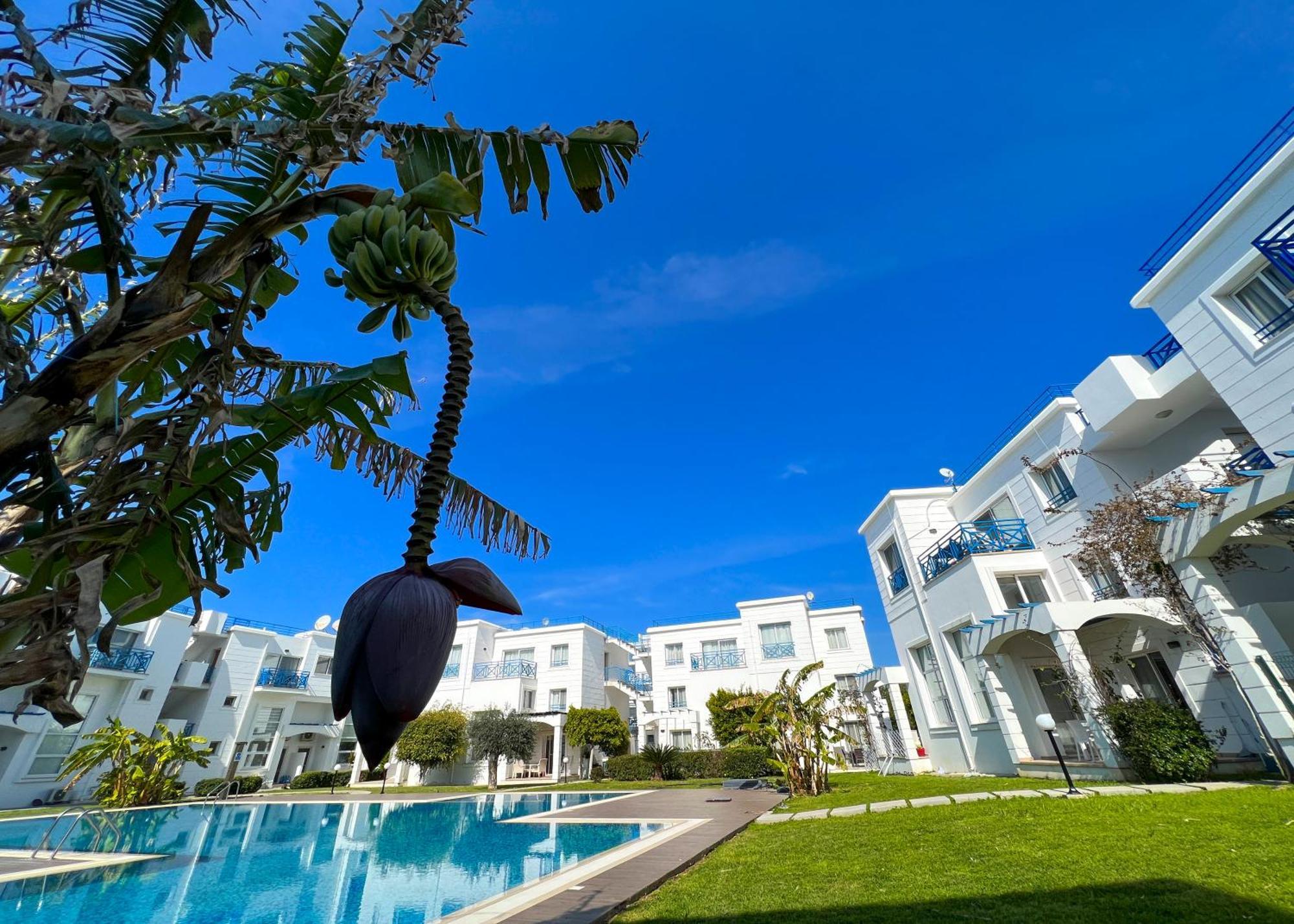 Garden Loft Apt With Pool In Alsancak Kyrenia Kyrenia  Exterior photo